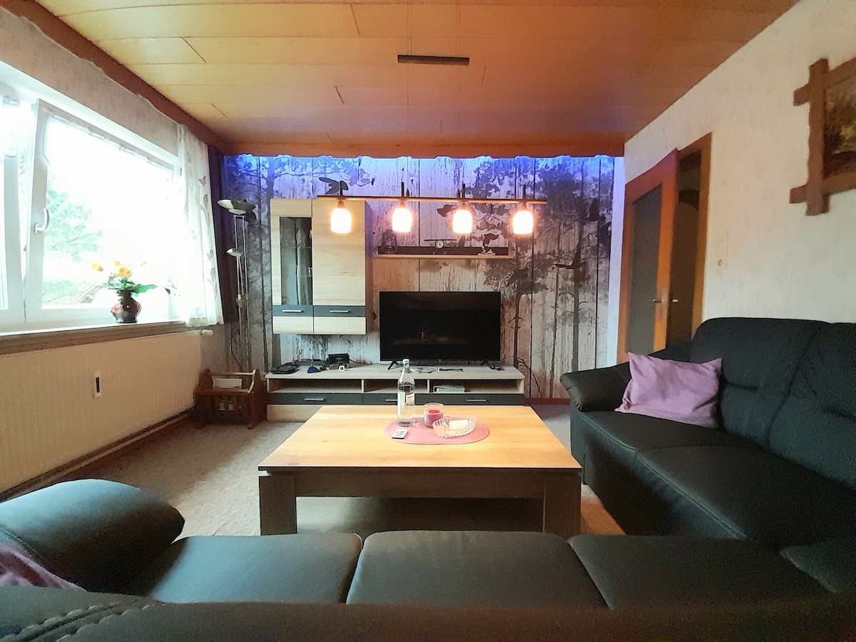 Top Airbnb: large apartment with views and dog in a great location in Goslar