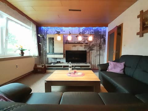 Top Airbnb: large apartment with views and dog in a great location in Goslar