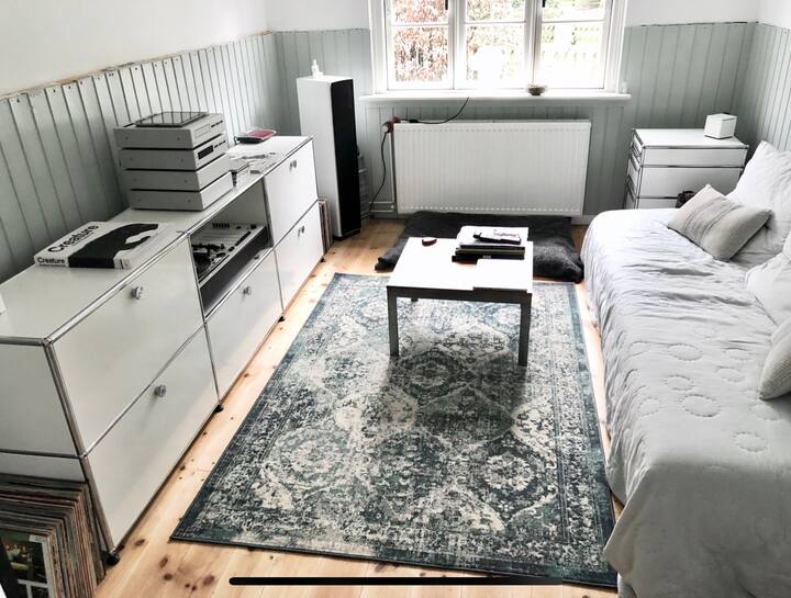 带沙发床的卧室