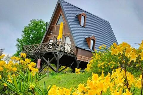 Super view chalet with a barbecue