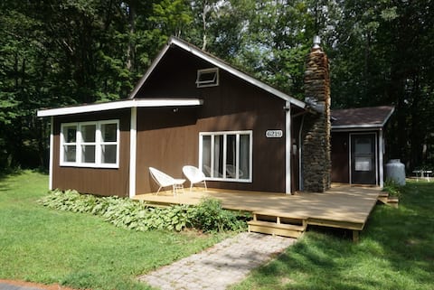 RZEKA Cottage: Riverfront home in the Green mts.