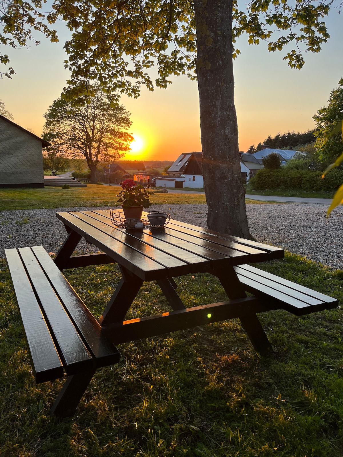 A wooden picnic table is positioned under a tree, with a small flower pot placed on it. The scene is set against a warm sunset, casting a serene glow over the surrounding area, which features a gravel path and distant houses.