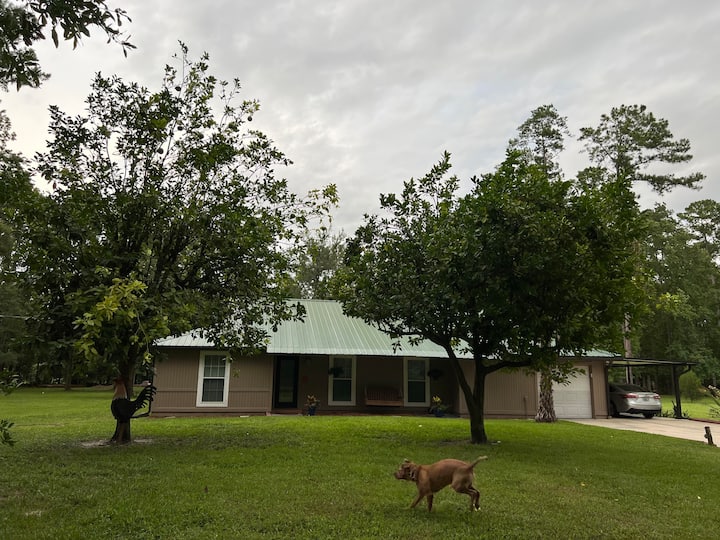 Quiet 3 bedroom 2 bath home with screened in patio Houses for Rent in