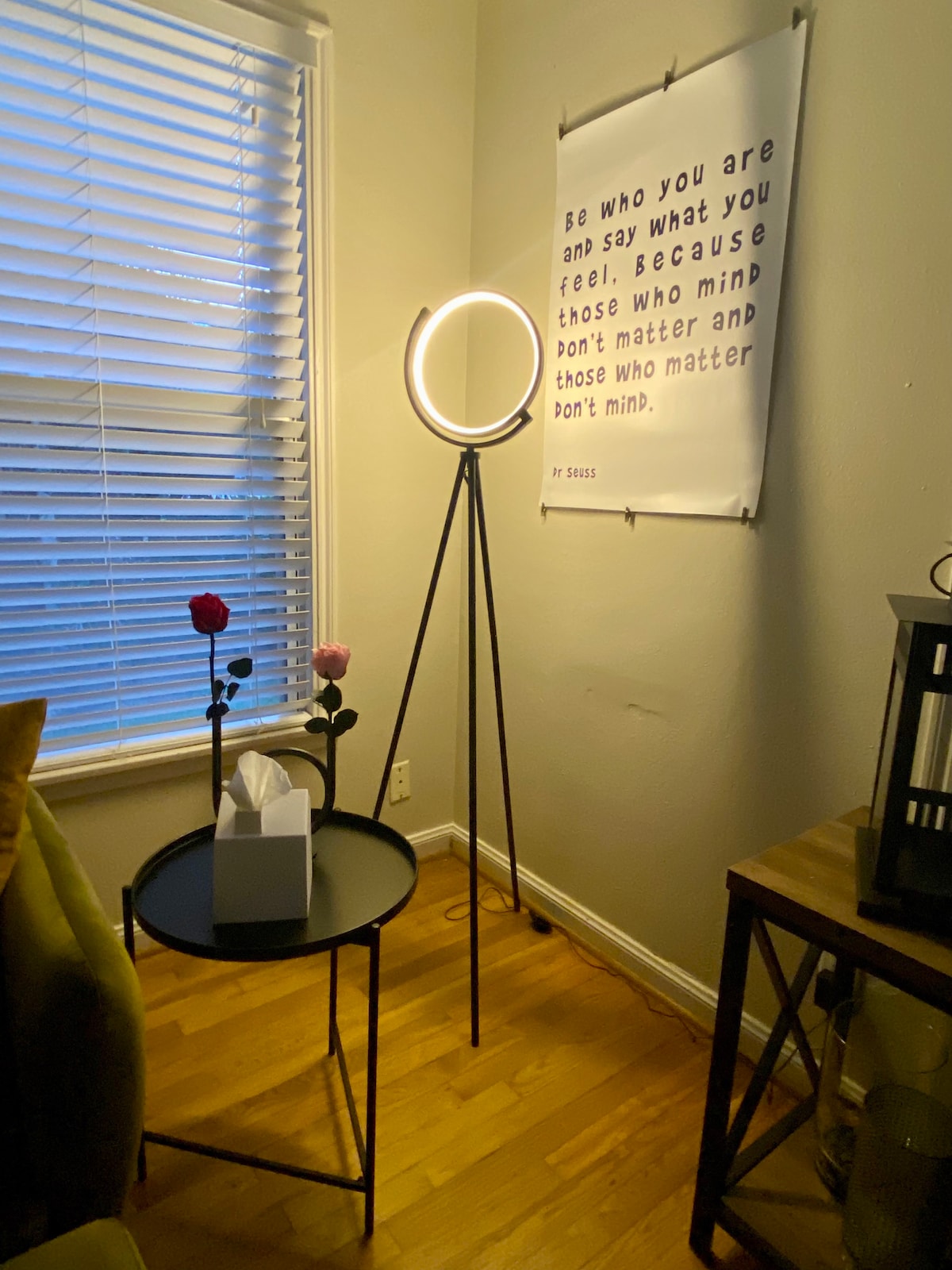 Successful Airbnb property: Rice Village Retreat, World Cup 2026 Dates OPEN in University Place