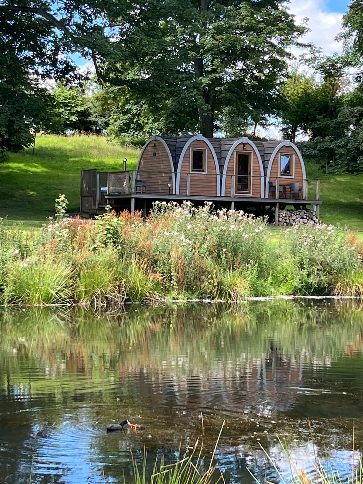 A charming accommodation with three arch-shaped pods is set on a grassy hill. The structure is complemented by a wooden deck that overlooks a serene pond, featuring tall grasses and wildflowers framing the scene. Reflections of the pods can be seen on the water's surface.