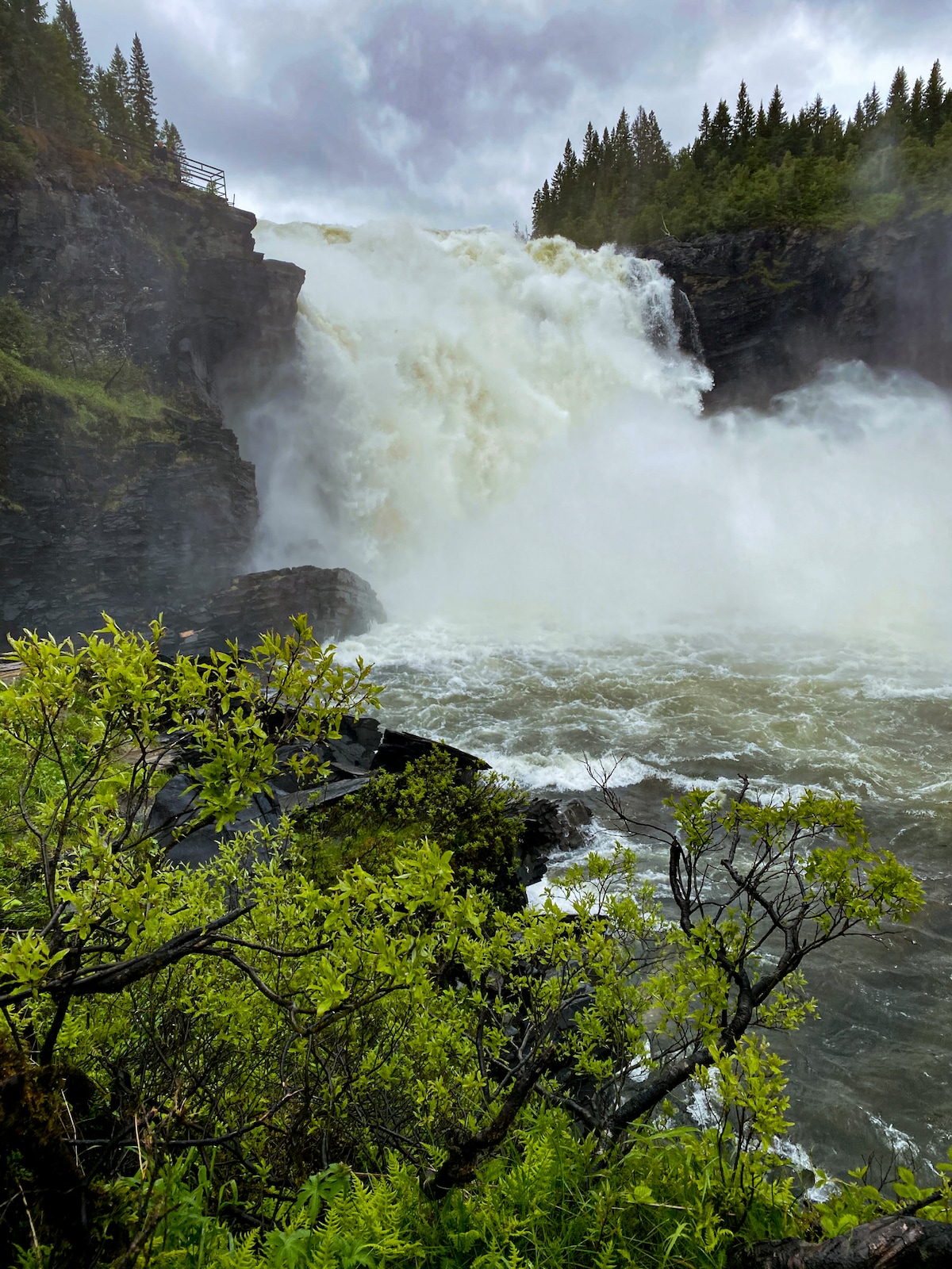 A powerful waterfall cascades down rocky cliffs, sending a gust of mist into the air. Lush green vegetation frames the scene, contrasting with the dark rocks and tumbling water. A backdrop of tall evergreen trees provides a natural setting, evoking the beauty of the surrounding landscape.