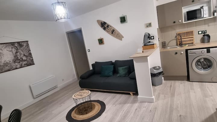 Appartement Zen - Muret
