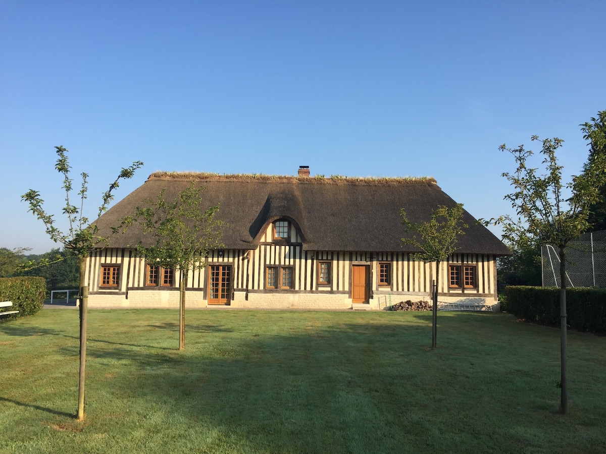 A charming thatched-roof cottage is set amidst a lush green lawn, featuring a symmetrical facade with timber framing. Large windows and a prominent entrance are visible, surrounded by young trees that enhance the peaceful outdoor setting.