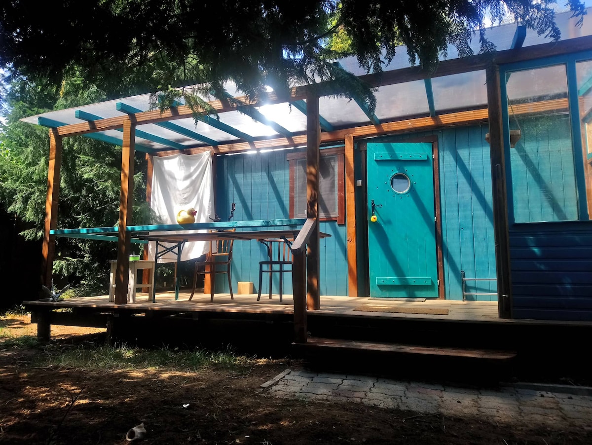 The exterior of a tiny house is framed by greenery, with a spacious wooden deck covered by a clear awning. A bright teal door and window are visible, alongside a table and chairs set up for outdoor seating. A white cloth hangs, adding a touch of softness.