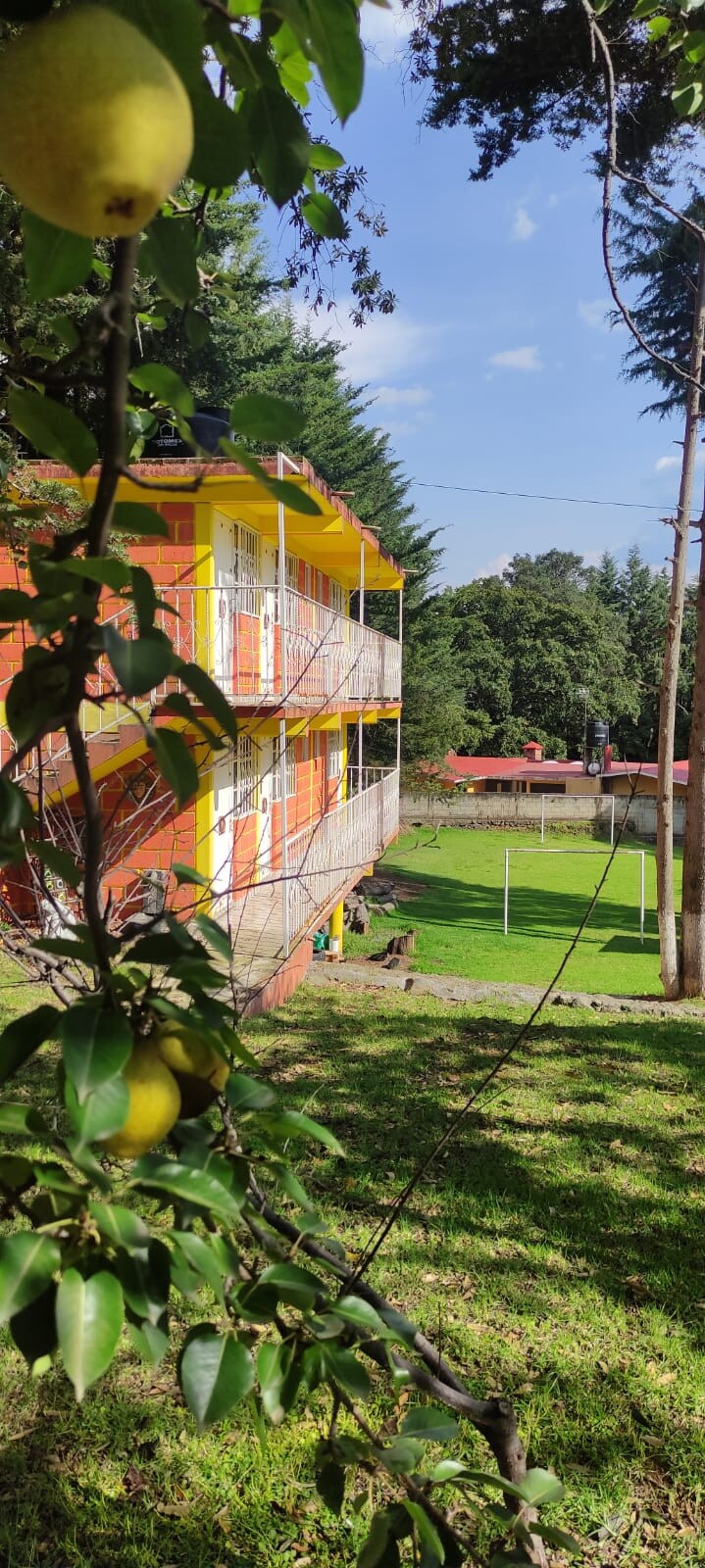 The image depicts a vibrant two-story building framed by lush greenery. A grassy area, suitable for recreational activities, is visible alongside a small soccer field. Natural light brightens the exterior, showcasing the colorful facade and inviting surroundings.