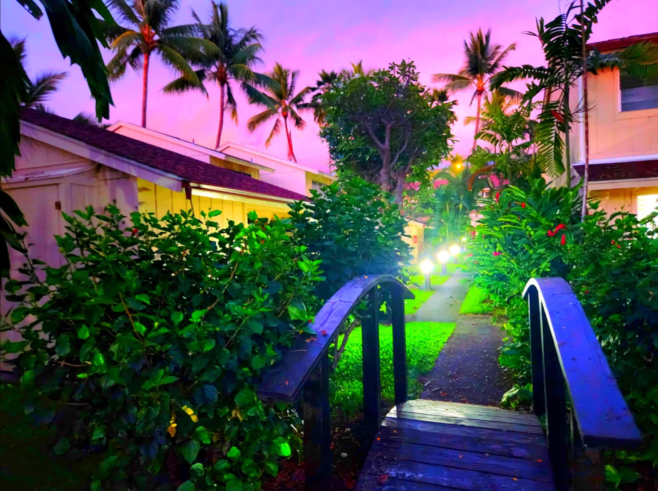 The Artists' Beach Bungalow - Image 13