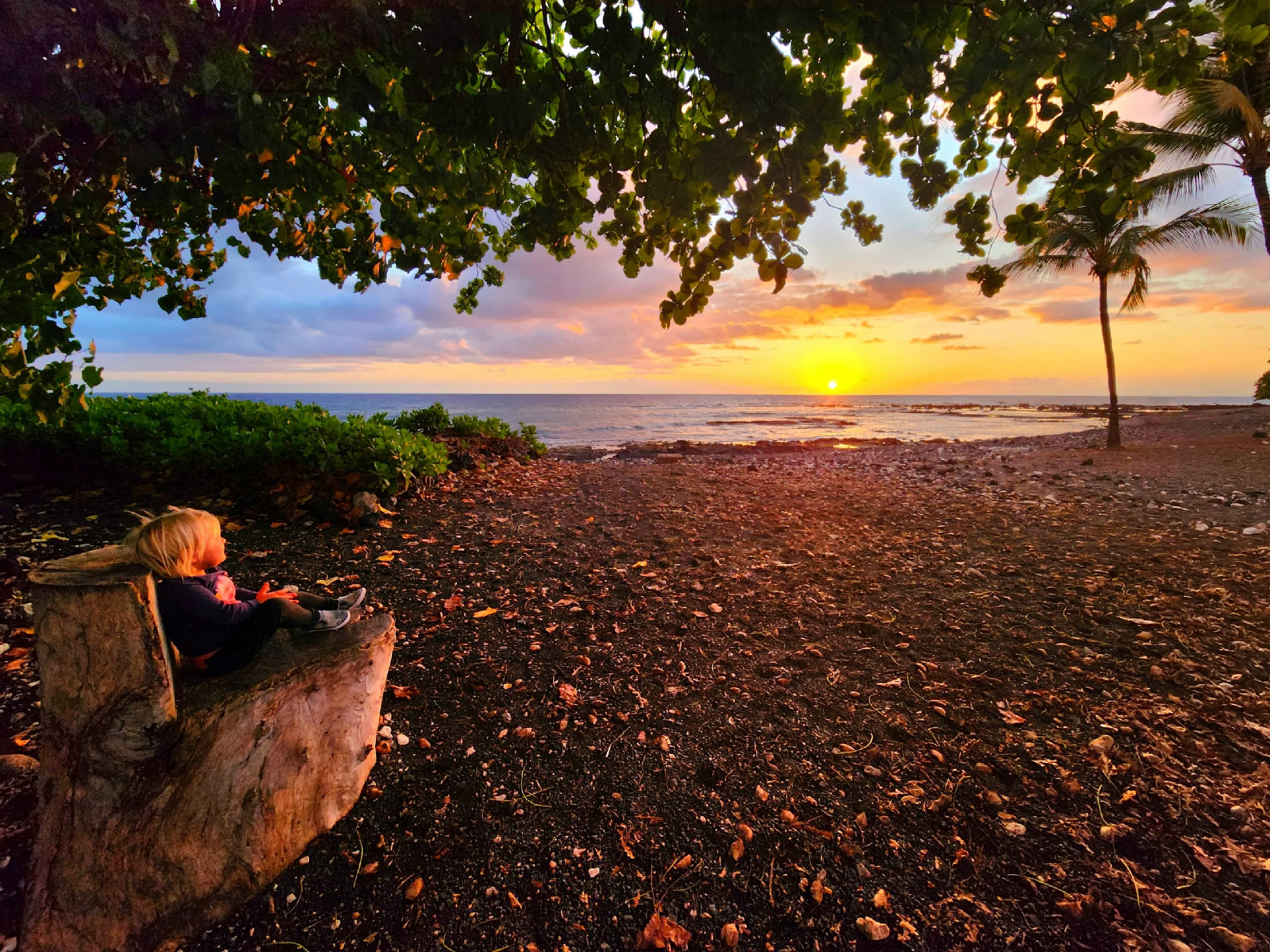 The Artists' Beach Bungalow - Image 14