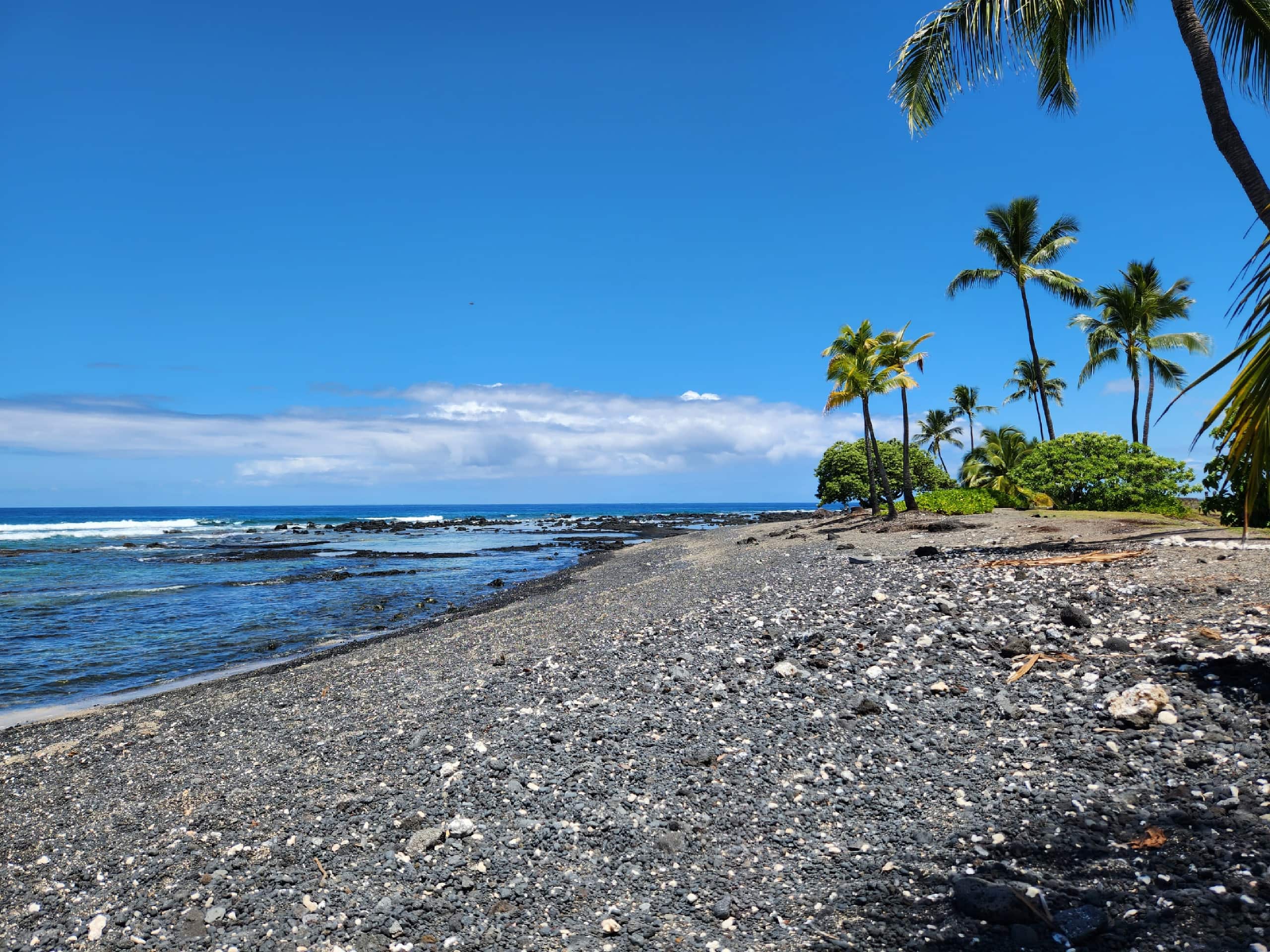 The Artists' Beach Bungalow - Image 16