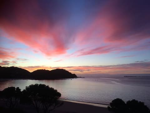 A Slice of Kiwi Paradise!