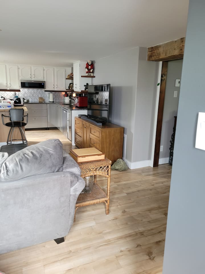 Walking Distance To Down Town, 1 Bedroom Open Area - New Brunswick