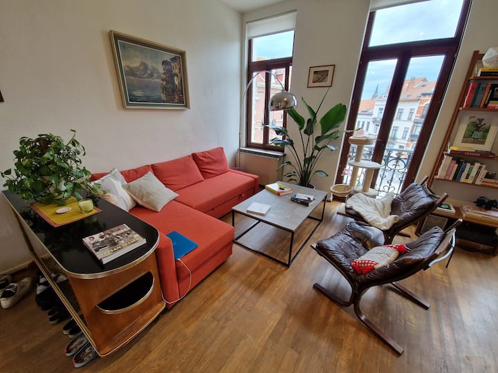 Spacious Apartment in Ixelles (with lovely cat!) Apartments for Rent