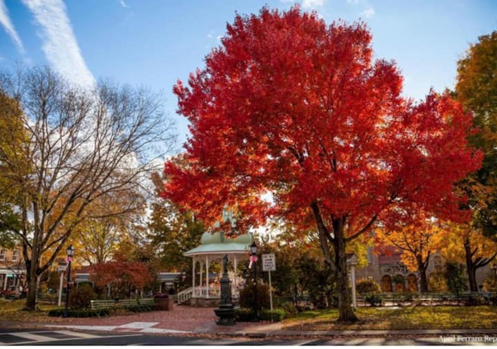Apartment Ligonier Pa