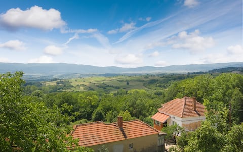 Stunning nature on a country estate