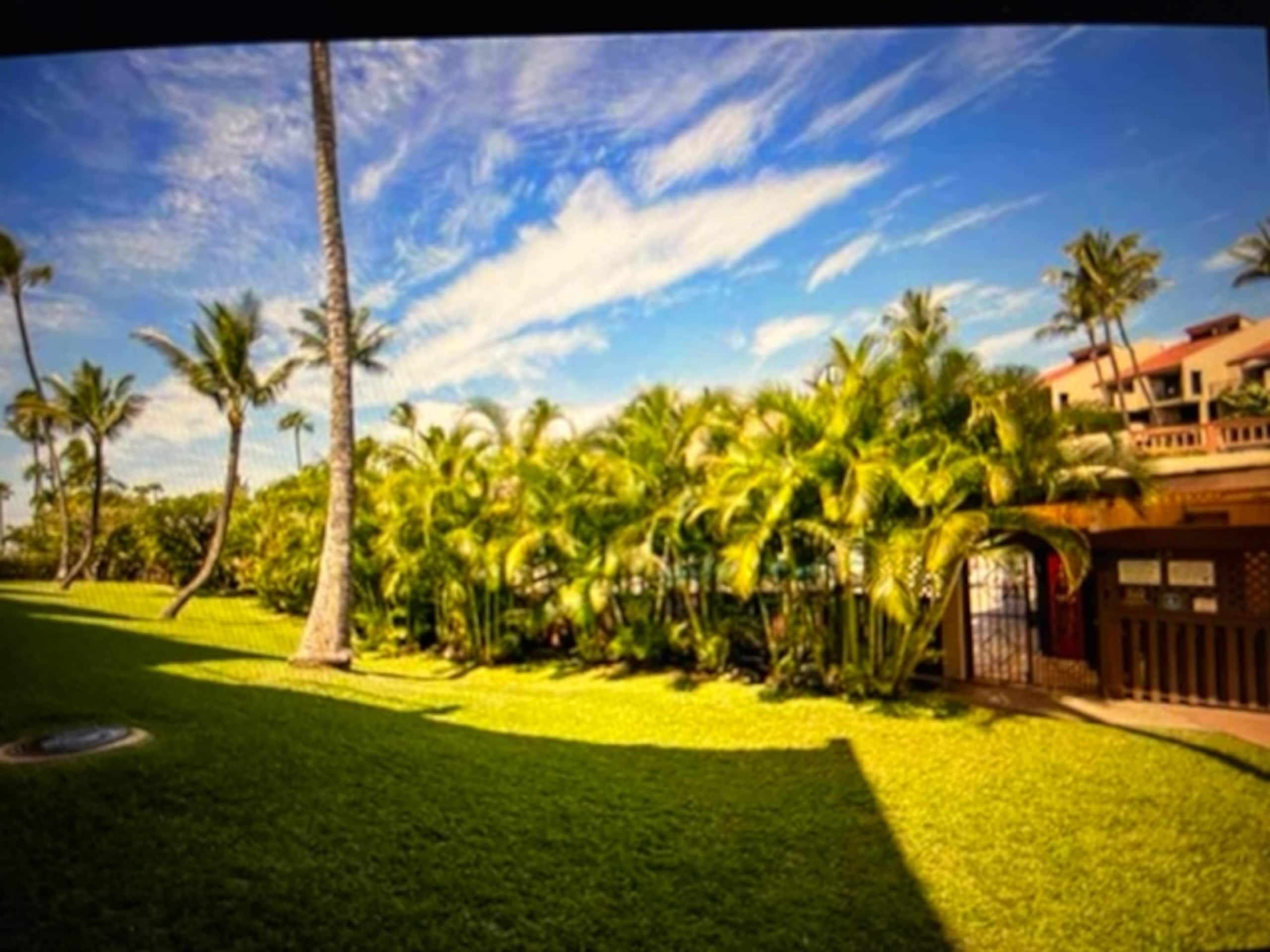 Condo in Kihei · ★4.96 · 3 bedrooms · 3 beds · 2 baths - Image 24