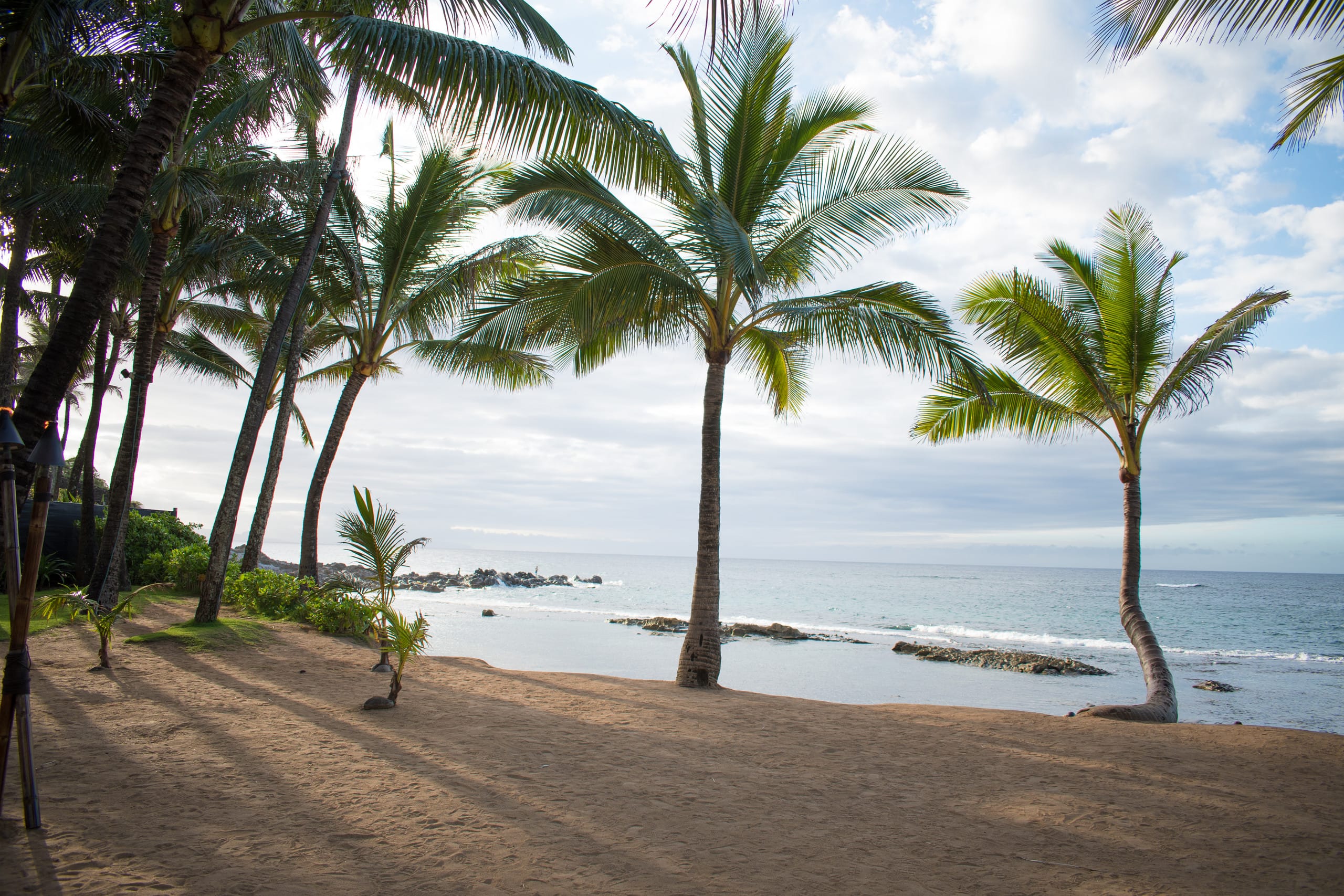 Condo in Kihei · ★4.96 · 3 bedrooms · 3 beds · 2 baths - Image 31
