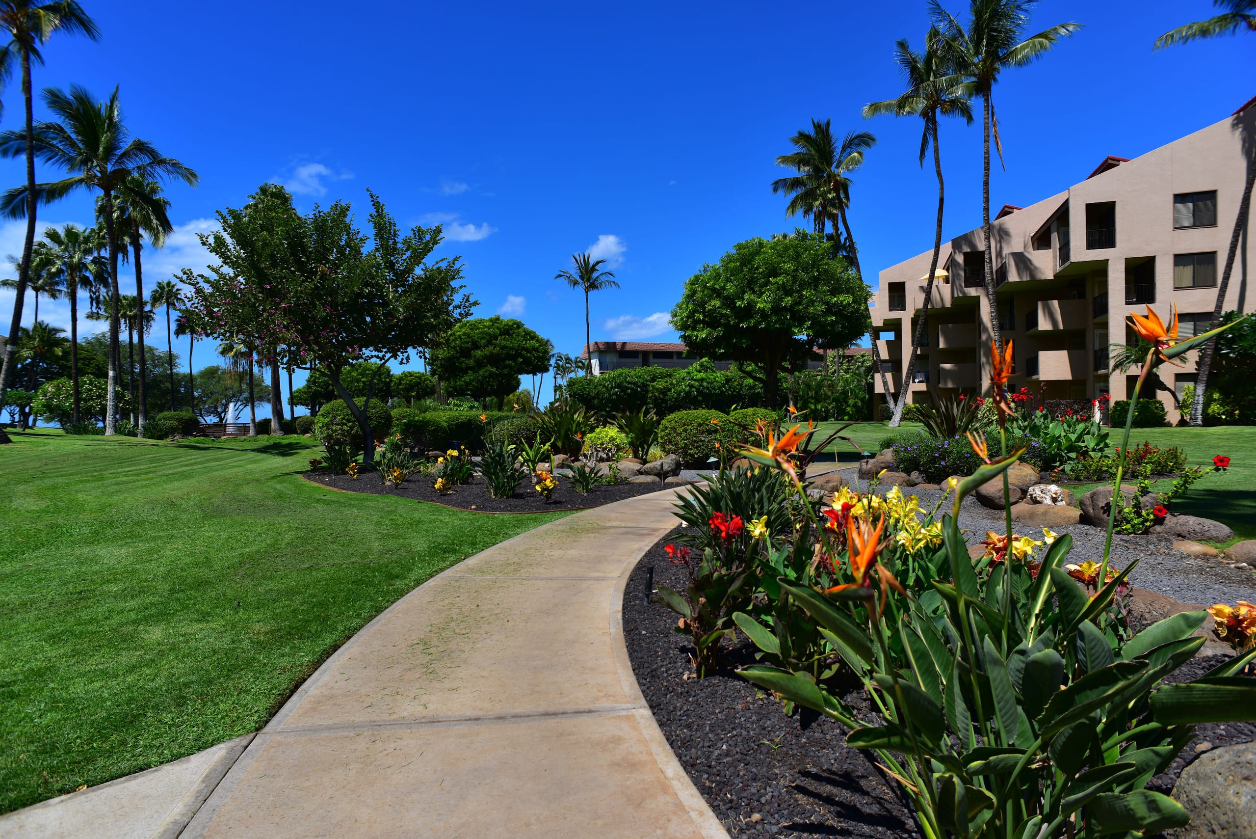 Condo in Kihei · ★4.96 · 3 bedrooms · 3 beds · 2 baths - Image 34
