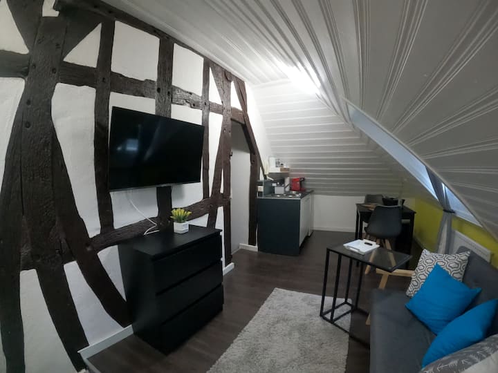 Stilvolle Altbauwohnung, Apartment > Schlaf & Gut< - Ransbach-Baumbach
