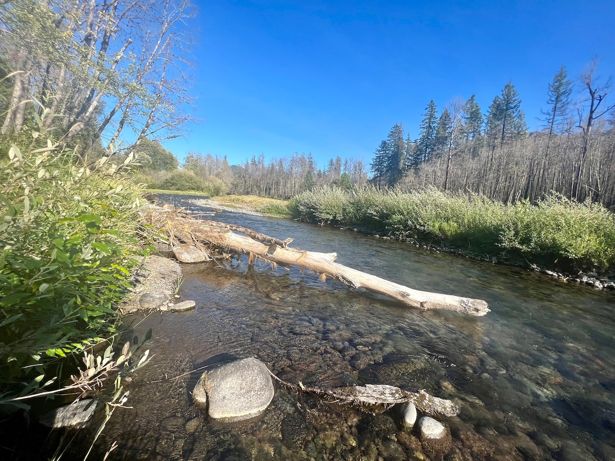A serene riverside view is presented, featuring clear water flowing around a fallen log. Lush green shrubs line the riverbank, while the backdrop displays a mix of trees, some charred and others still standing. A rocky shoreline creates a natural setting.