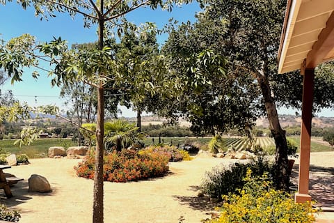 Hilltop Vineyard and Agave Field with View