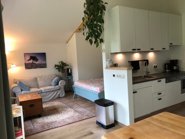 Knusse Bungalow Met Sauna En Zwembad. - Países Bajos