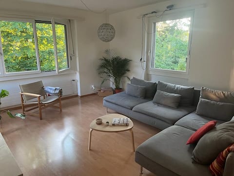Successful Airbnb property: Peaceful flat by ETH Hönggerberg in Affoltern