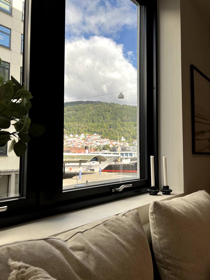 Bergen's best location Condominiums for Rent in Bergenhus, Vestland