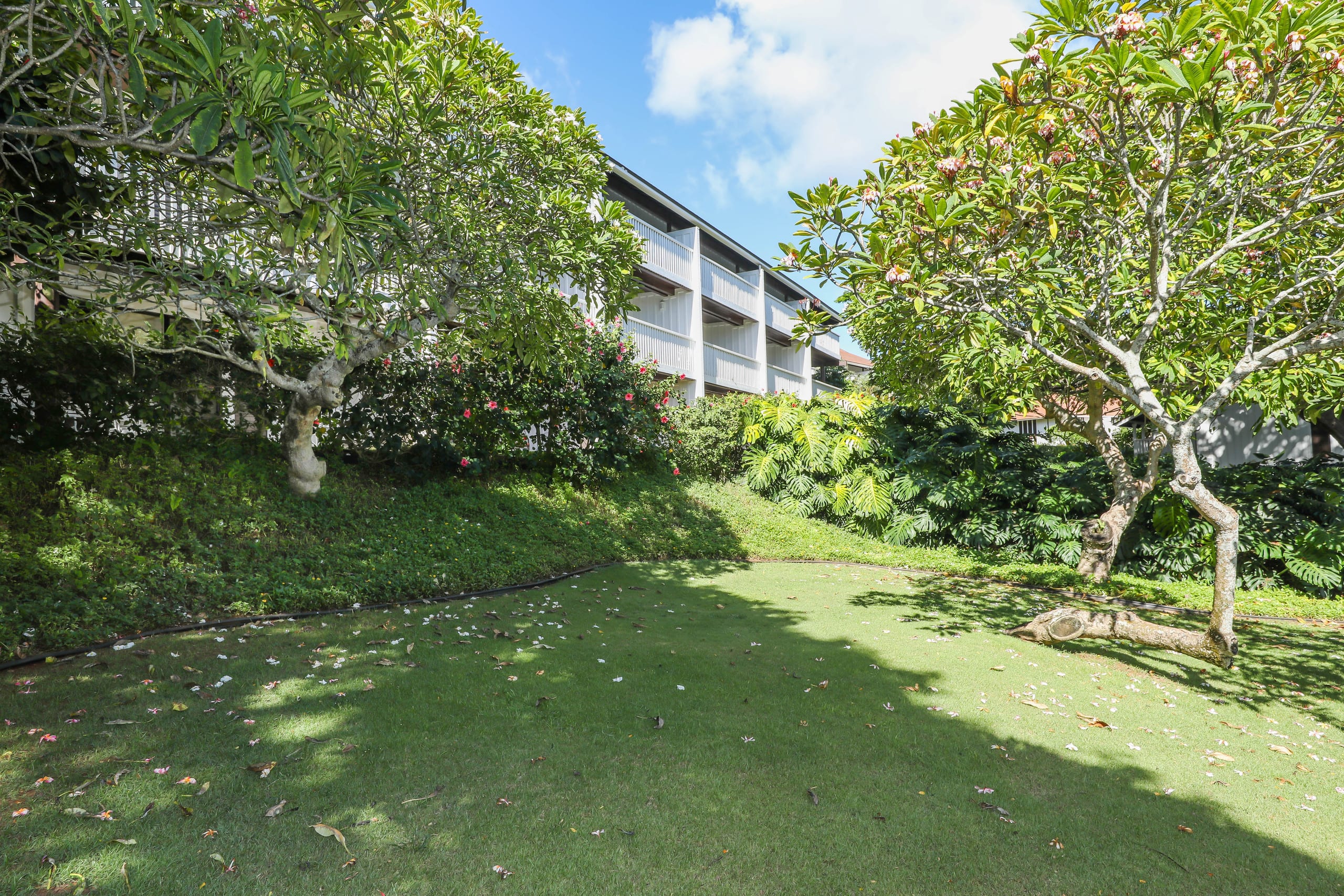 Brand New AC, Steps to Beach on Kiahuna Plantation - Photo 10