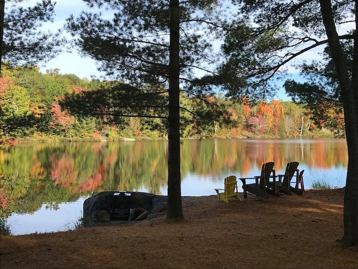 Beautiful four season cottage on serene lake. Houses for Rent in