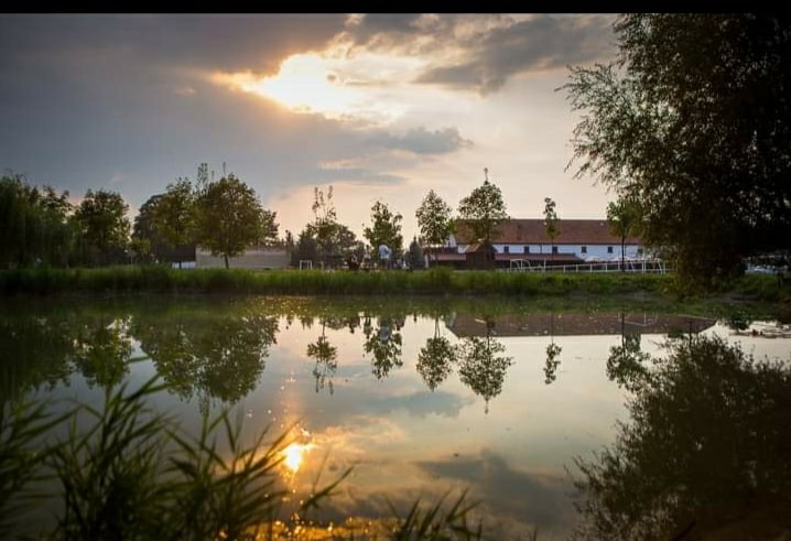 A serene outdoor landscape is captured, featuring a calm body of water reflecting trees and a building. The horizon is adorned with soft clouds and sunlight breaking through, creating a tranquil atmosphere complemented by the surrounding greenery.