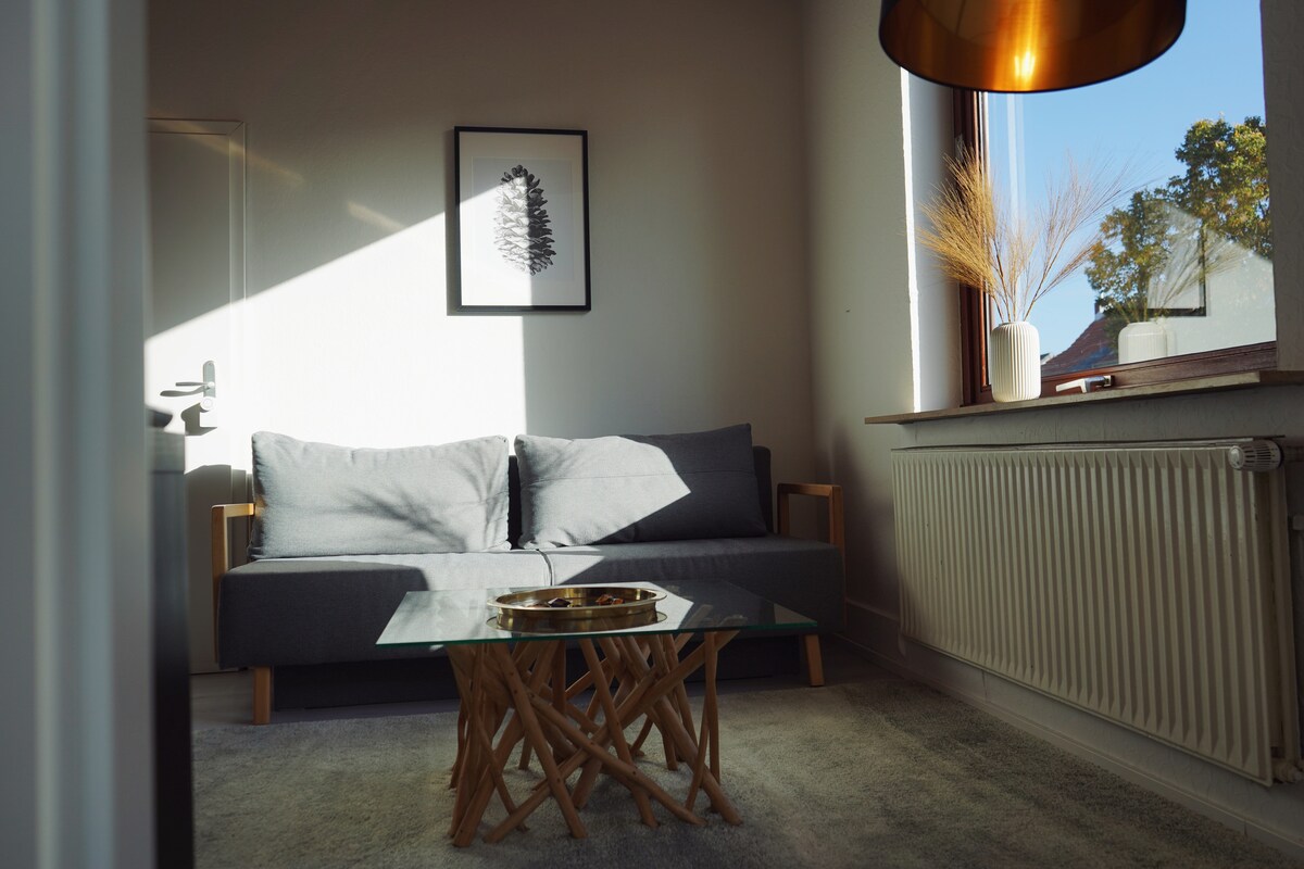 Successful Airbnb property: unique: charming | tramstation | parking | netflix in Walle