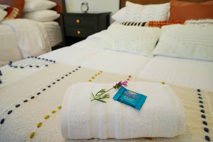 Spacious Victorian 5-M -Train, Convention&Downtown gallery image 3