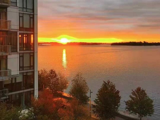 Luxury Executive Suite on the water with pools