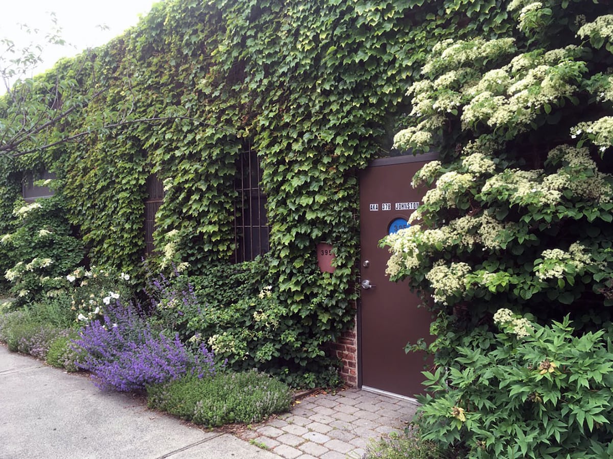 A welcoming entrance is framed by lush green ivy and flowering plants, creating a natural ambiance. The door, brown and simple, is complemented by the vibrant greenery and purple blooms along the pathway, enhancing the overall charm of the eco-friendly loft's exterior.
