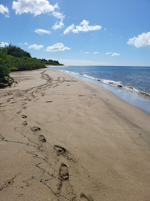 A sandy beach stretches along the coastline, bordered by lush greenery. Footprints are visible in the soft sand leading towards the gentle waves. The sky is bright and clear, with a few fluffy clouds scattered above, creating a serene landscape.