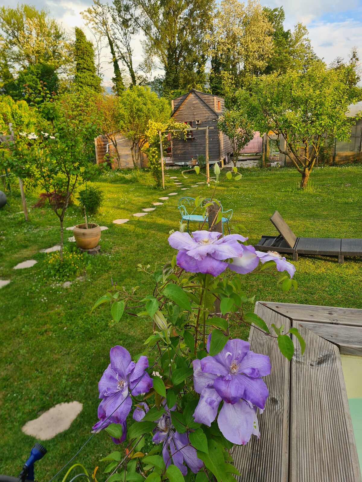 A vibrant view of a lush garden is presented, featuring blooming purple flowers in the foreground. A winding stone path leads to a wooden shed amidst greenery, while trees and a more open grassy area fill the background.