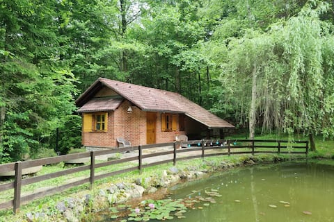 Cottage by the pond Pavel | peace & nature