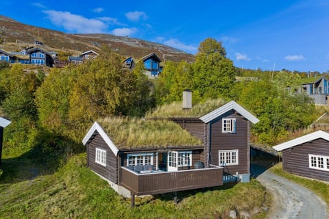 Cozy cabin in Vangslia with ski in, ski out.