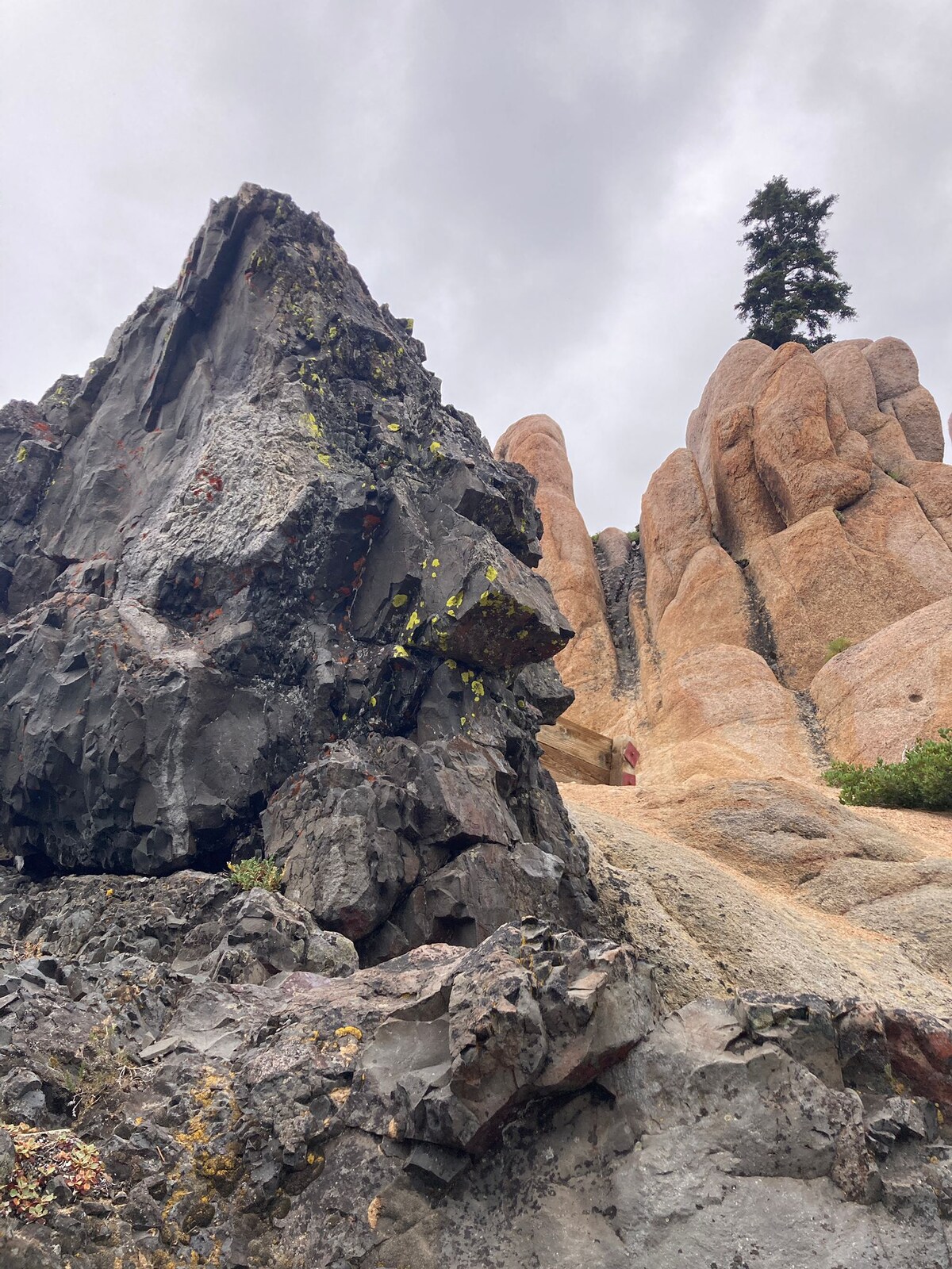 A rugged landscape features large rock formations, showcasing a blend of dark and light tones. Moss and lichen decorate the rocky surfaces. A tall, solitary tree emerges from the top of a steep, rocky outcrop, adding a contrasting organic element to the scene.