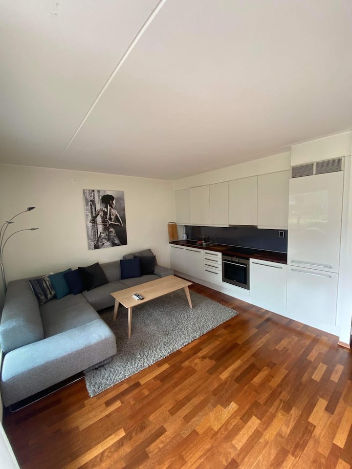 Lovely apartment with outdoor terrace at Lille Bislett Condominiums
