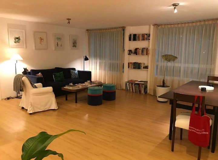 Cozy apartment in Amsterdam, Condesa. Serviced apartments for Rent in