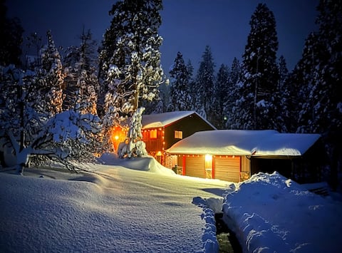 Family & Dog-Friendly: Spacious, Flat Driveway