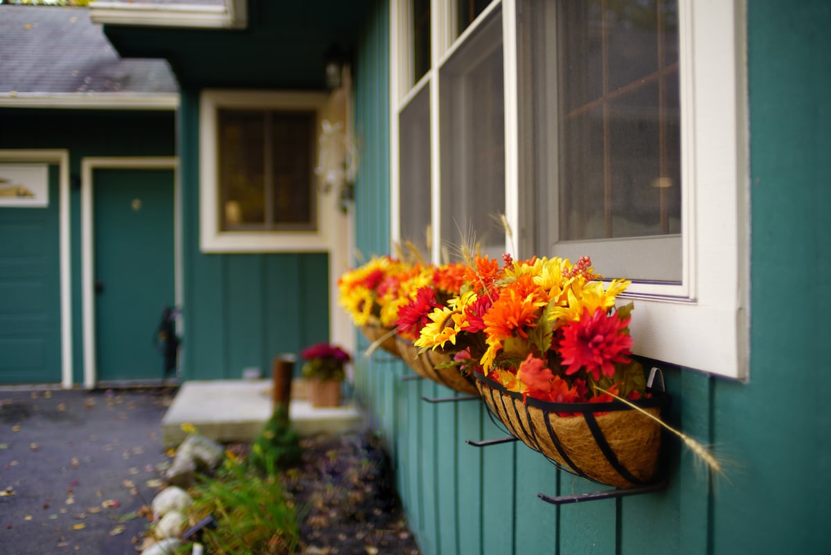 Floral arrangements in vibrant shades of orange and yellow are displayed in planter boxes mounted below windows. The cottage is painted in a calming green, enhancing the welcoming appearance of the home. A paved pathway leads to the entrance, surrounded by seasonal foliage.