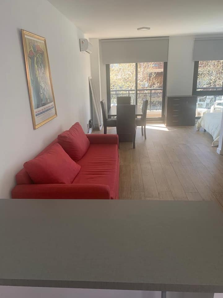 Studio apartment in Palermo with terrace and grill