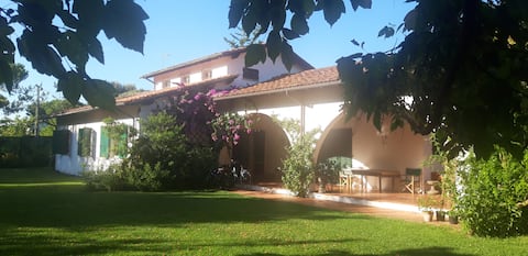 1960s villa in Versilia, with large garden.