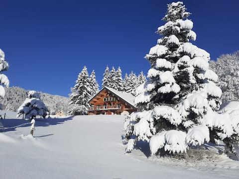The Cabin of the Starts (SPA-View-Stillness)